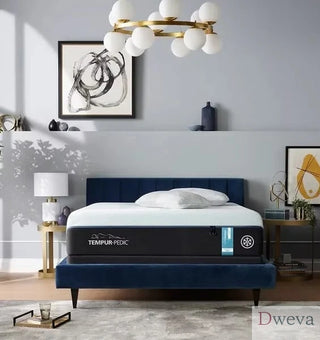 Macon Bed & Mattress Review