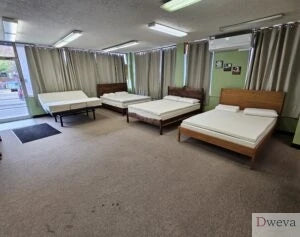 Mulligan Mattress Review