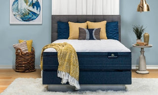 Haynes Mattress Reviews
