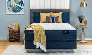 Haynes Mattress Reviews