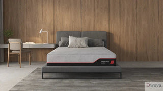 Performa Mattress Review