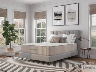 Austin Premier Mattress Reviews