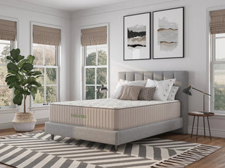 Austin Premier Mattress Reviews