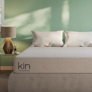 Tuft & Needle Mattress Review image