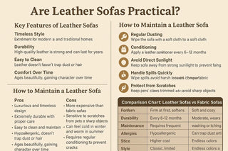 Leather Sofa Buying Guide image