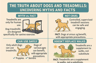 dog treadmill image
