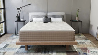 Eco Terra Mattress Review