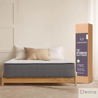 Lincove Mattress Reviews