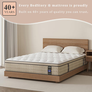 BedStory Mattress Reviews