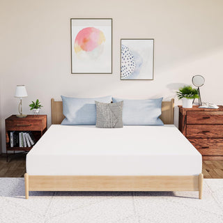 Neo Sleep Mattress Review