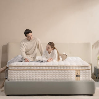 AN Adamant Noyau Mattress Reviews