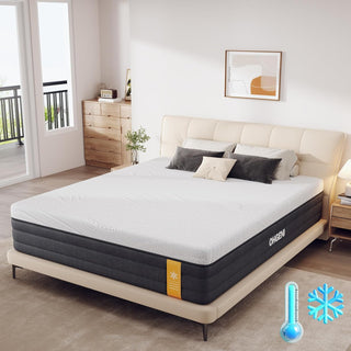 OhGeni Mattress Review