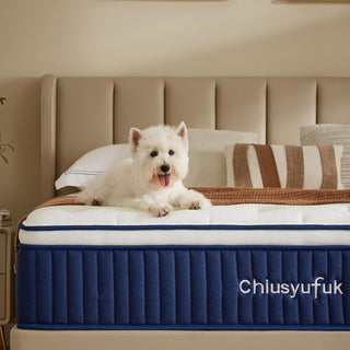 Chiusyufuk Mattress Review