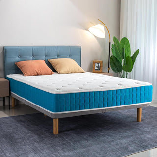 Planet Sleepings Mattress Reviews