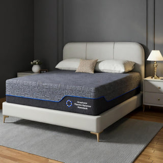 AMADA Mattress Reviews