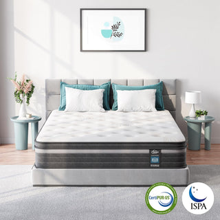 TeQsli Mattress Reviews