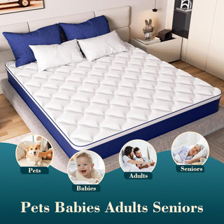 Kesyup Mattress Reviews