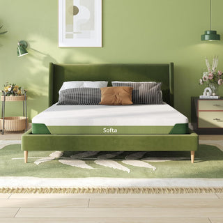 Softa Mattress Reviews