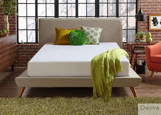 Live and Sleep Mattress Reviews
