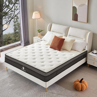 DreamQi Mattress Review