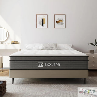 ZEXXLEPR Mattress Reviews