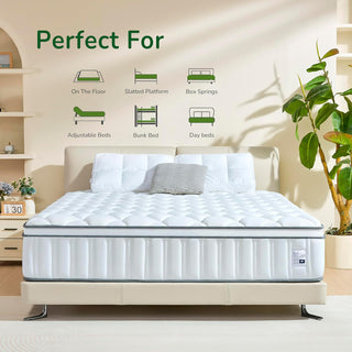 Sozlo Mattress Reviews