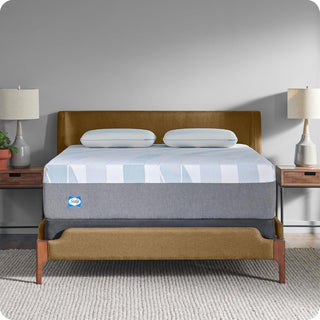 Sealy Mattress Reviews