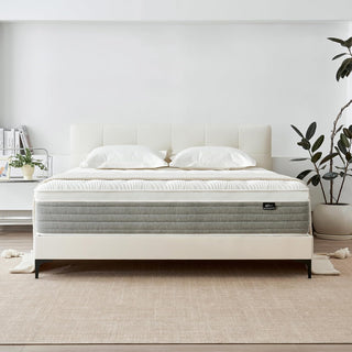 Fynterra Mattress Reviews