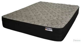 Campbell Mattress Review