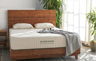 Mancini's Mattress Reviews