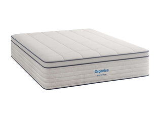 Amerisleep Organica Plush Mattress Reviews (2026)