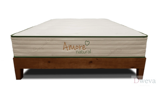 Amore Beds Mattress Reviews (2026)