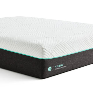 Billy Bob Mattress Reviews