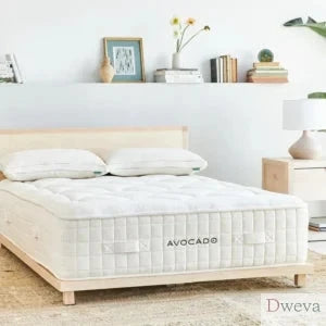 Jacksonville Bedding Mattresses & More Review