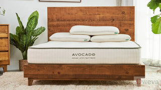 Avocado Vegan Mattress Reviews (2026)