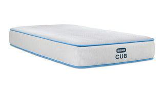 Bear Cub Kids Mattress Reviews (2026)