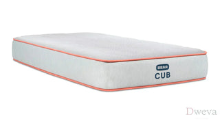 Bear Cub Mattress Reviews (2026)