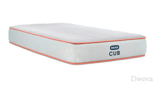 Bear Cub Mattress Reviews (2026)