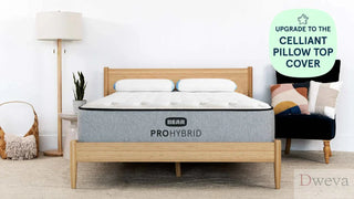 Bear Pro Hybrid Mattress Reviews (2026)