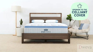 Bear Star Hybrid Mattress Reviews (2026)