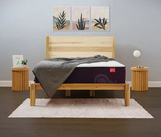 Big Fig Classic Mattress Reviews (2026)