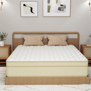 Chevni 12 Inch Hybrid Spring Memory Foam Mattress Reviews (2026)