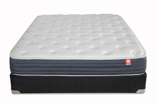 Croft Mercer Plush Mattress Reviews (2026)