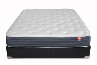 Croft Mercer Plush Mattress Reviews (2026)