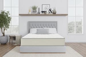 Van Winkle Mattress Reviews