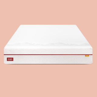 Douglas Alpine Mattress Reviews (2026)