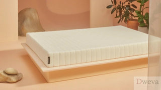 Earthfoam Mattress Reviews (2026)
