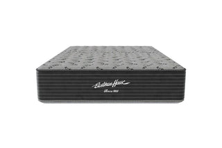 Eastman House All-Seasons Plush Mattress Reviews (2026)