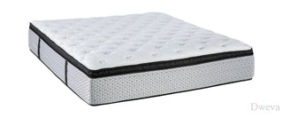 Thomas Cole Sleep Reviews (2026)