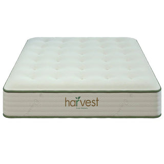 Harvest Green Original Vegan Mattress Reviews (2026)